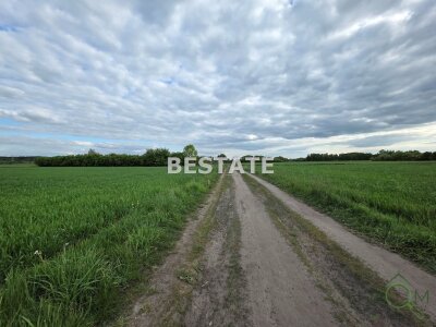bestate_nieruchomosci_zs_BESP-GS-14890-1_8.jpg