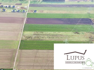 lupus_nieruchomosci_zs_2202_8.jpg