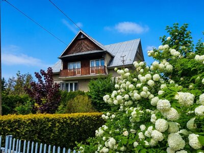 jolanta_serwin_ds_JSN-DS-3085_1.jpg