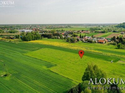 alokum_nieruchomosci_zs_575_2.jpg
