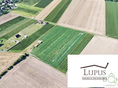 lupus_nieruchomosci_zs_2197_9.jpg