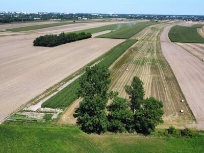 waliszczak_nieruchomosci_zs_GS-14815_5.jpg