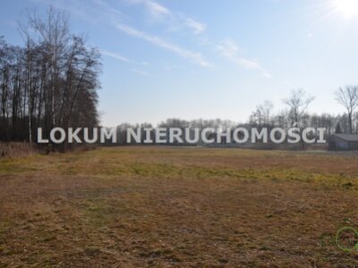 lokum_nieruchomosci_dt_zs_LOK-GS-1745_6.jpg