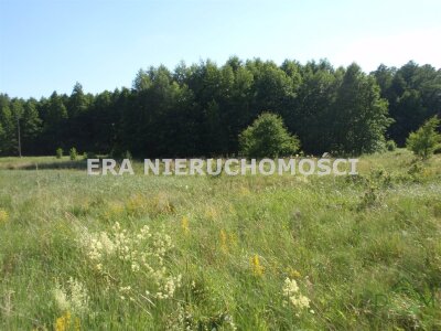era_nieruchomosci_zs_ERA-GS-534_1.jpg