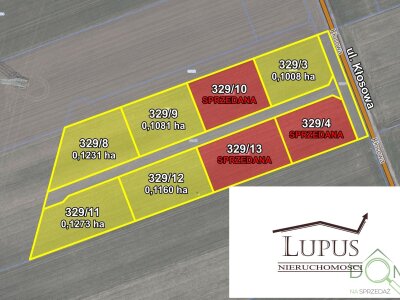 lupus_nieruchomosci_zs_2202_2.jpg