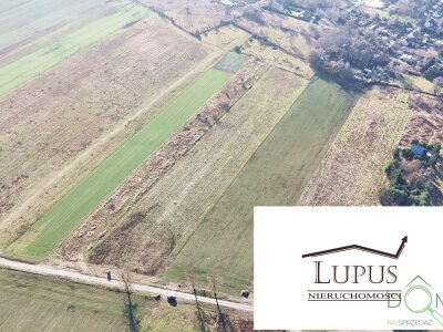 lupus_nieruchomosci_zs_2201_3.jpg