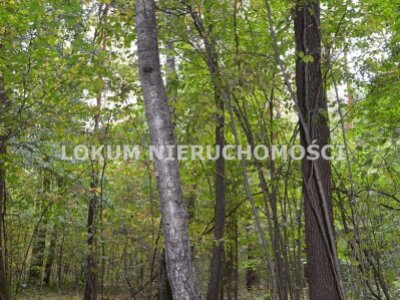 lokum_nieruchomosci_dt_zs_LOK-GS-1786_11.jpg