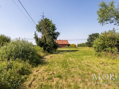 alokum_nieruchomosci_zs_2962_4.jpg