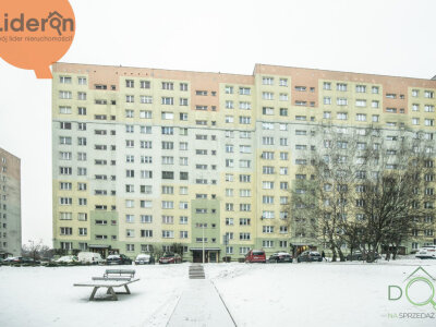 lideron_ms_731294_13.jpg