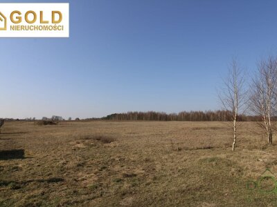 gold_nieruchomosci_zs_523_2.jpg