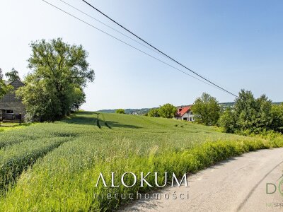 alokum_nieruchomosci_zs_3264_5.jpg