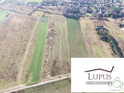 lupus_nieruchomosci_zs_2201_4.jpg