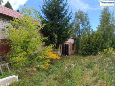 waliszczak_nieruchomosci_zs_GS-14709_1.jpg