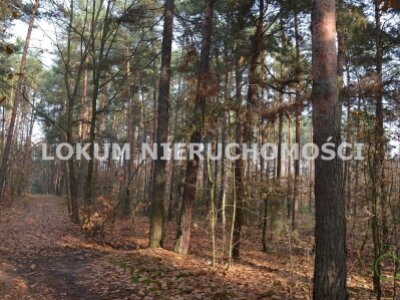 lokum_nieruchomosci_dt_zs_LOK-GS-1467_5.jpg