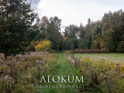 alokum_nieruchomosci_zs_3255_8.jpg