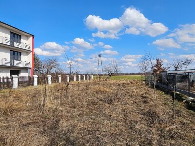 jolanta_serwin_zs_JSN-GS-3101_8.jpg