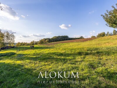 alokum_nieruchomosci_zs_3071_1.jpg