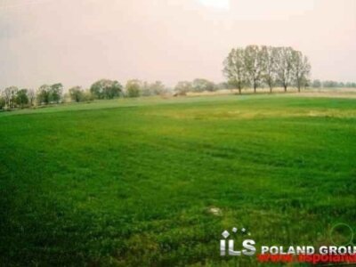 ils_poland_group_ls_952_5.jpg