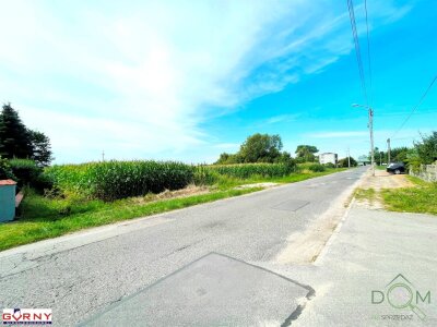 gorny_nieruchomosci_zs_NIG-GS-4455_4.jpg