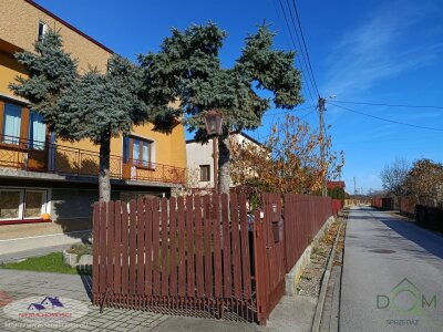 jolanta_serwin_ds_JSN-DS-3102-4_31.jpg
