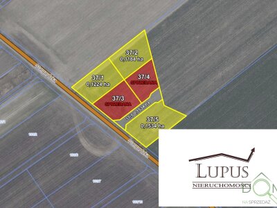 lupus_nieruchomosci_zs_2203_2.jpg