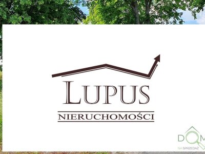 lupus_nieruchomosci_zs_2195_8.jpg