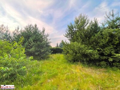 gorny_nieruchomosci_zs_NIG-GS-4581_8.jpg