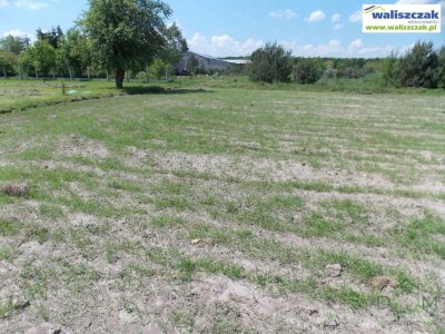 waliszczak_nieruchomosci_zs_GS-14104_6.jpg