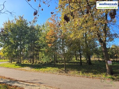 waliszczak_nieruchomosci_zs_GS-14738_1.jpg