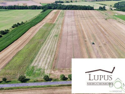 lupus_nieruchomosci_zs_2199_5.jpg