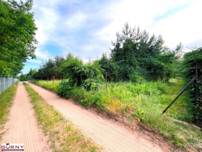 gorny_nieruchomosci_zs_NIG-GS-4581_6.jpg