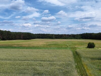 waliszczak_nieruchomosci_zs_GS-14930_2.jpg