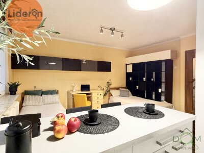 lideron_ms_643905_13.jpg