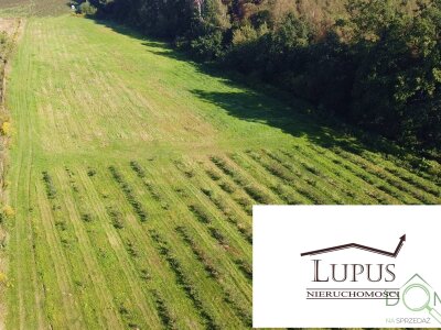 lupus_nieruchomosci_zs_2194_10.jpg