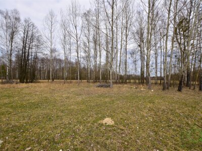 dolinscy_nieruchomosci_zs_PDN-GS-98_5.jpg