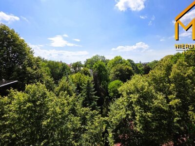 marcin_rzepka_nieruchomosci_ms_334_14.jpg
