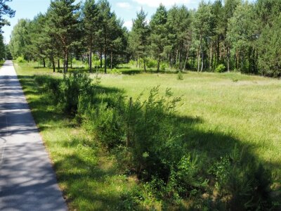waliszczak_nieruchomosci_zs_GS-14928_7.jpg