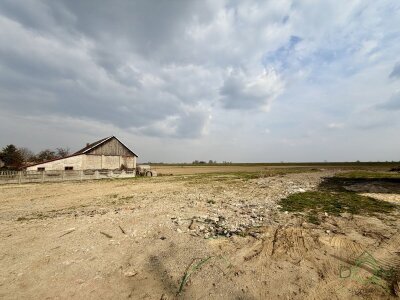 pozysk_nieruchomosci_zs_610962_17.jpg