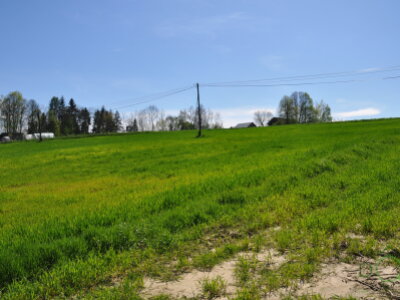 DSC_0926.JPG