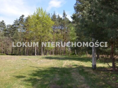 lokum_nieruchomosci_dt_zs_LOK-GS-1858_2.jpg