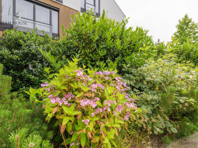 gdansk bursztynowa 1 obiekt i okolica 377.jpg