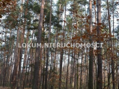 lokum_nieruchomosci_dt_zs_LOK-GS-1467_14.jpg