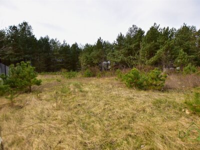 dolinscy_nieruchomosci_zs_PDN-GS-101_3.jpg