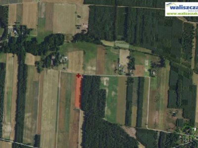waliszczak_nieruchomosci_zs_GS-14697_4.jpg