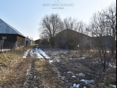 dolinscy_nieruchomosci_zs_PDN-GS-48_1.jpg
