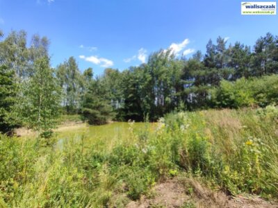 waliszczak_nieruchomosci_ds_DS-14842_31.jpg