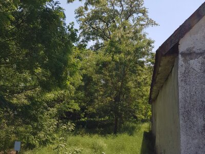 Ogrodzona 4.jpg