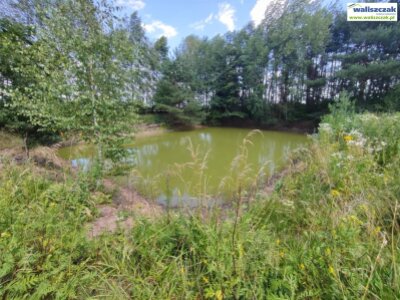 waliszczak_nieruchomosci_ds_DS-14842_30.jpg