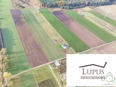 lupus_nieruchomosci_zs_2204_3.jpg