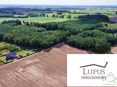 lupus_nieruchomosci_zs_2209_14.jpg